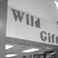 Wild Gifts - Centerpoint Mall